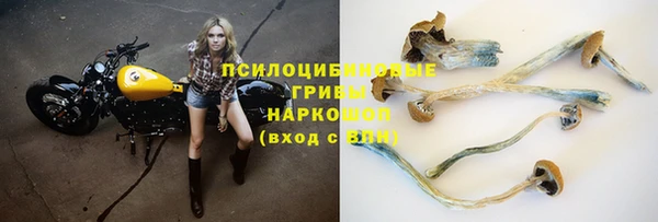 соль курить ск Верея