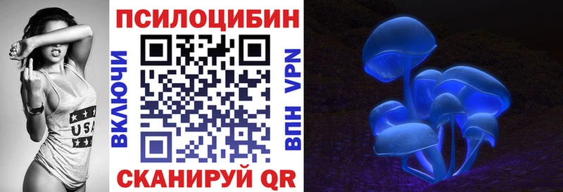 хочу наркоту Искитим Галлюциногенные грибы Cubensis
